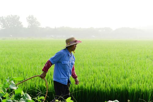 《有机肥料》农业行业标准通过审定
