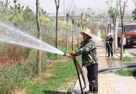 果园冬灌好处多，但是灌水时间要准确。